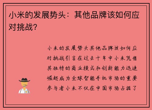 小米的发展势头：其他品牌该如何应对挑战？