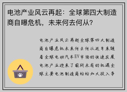 电池产业风云再起：全球第四大制造商自曝危机，未来何去何从？