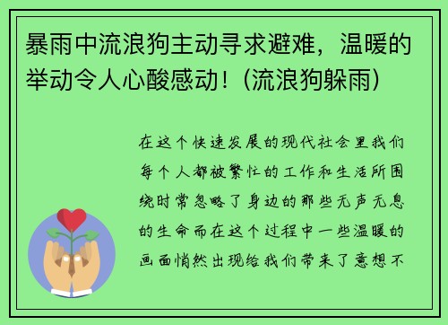 暴雨中流浪狗主动寻求避难，温暖的举动令人心酸感动！(流浪狗躲雨)