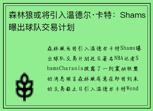 森林狼或将引入温德尔·卡特：Shams曝出球队交易计划